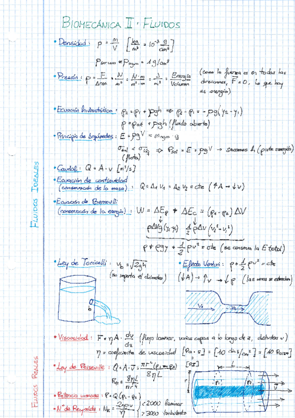 Miniatura del documento Biomecanica II.pdf