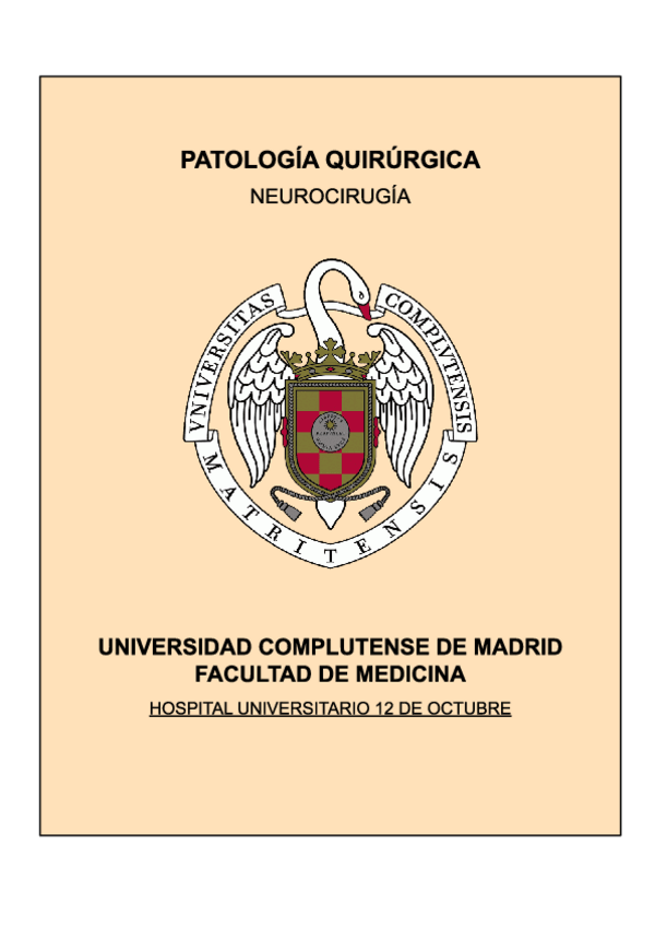 Miniatura del documento NEUROCIRUGIA-BYV.pdf