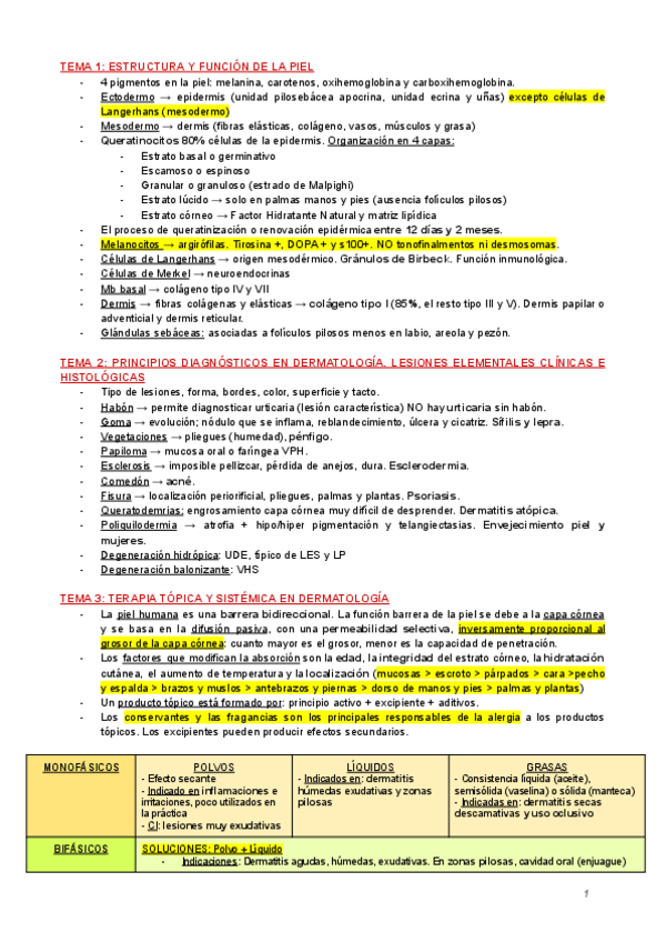 Miniatura del documento RESUMEN-DERMA-BYV.pdf