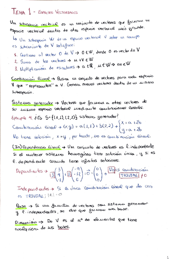 Miniatura del documento TEMA-1.pdf