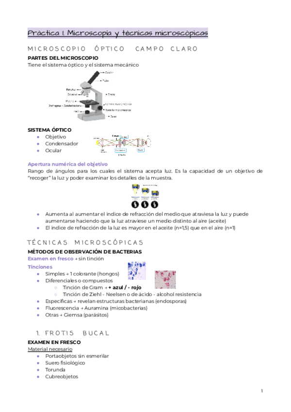 Miniatura del documento PRACTICAS-DE-MICROBIOLOGIA.pdf