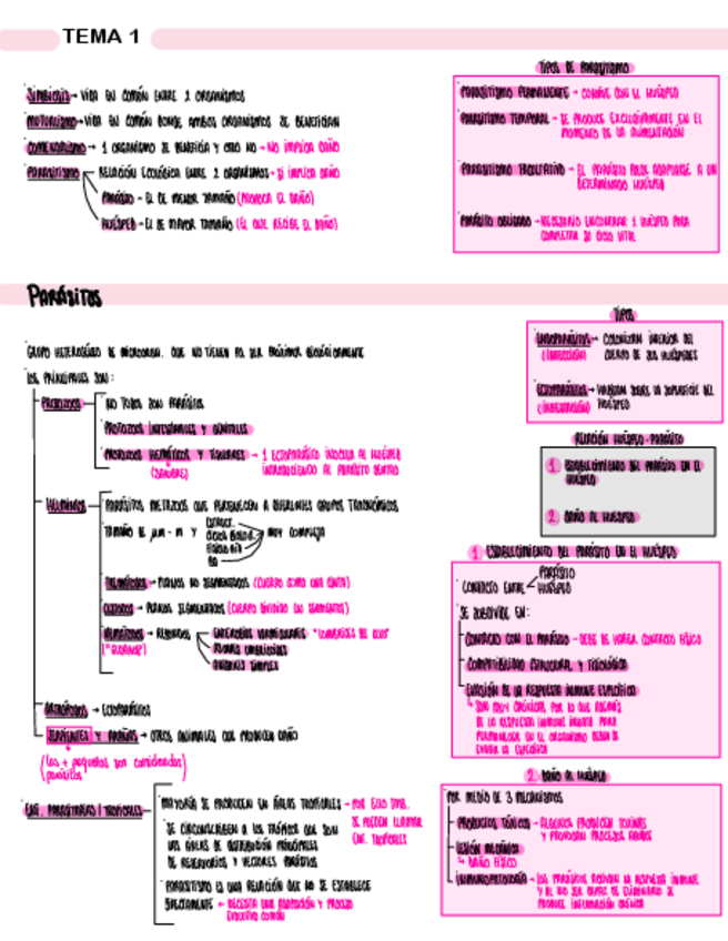 Miniatura del documento TEMA-1.-EL-PARASITISMO.pdf