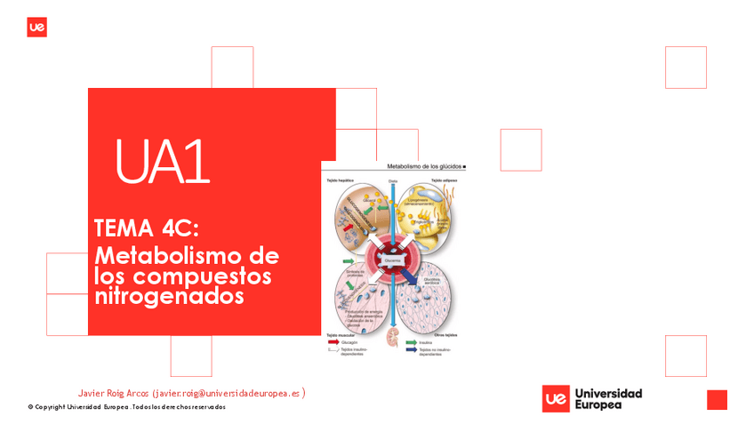 Miniatura del documento Tema-4C.-Metabolismo-compuestos-nitrogenados.pdf