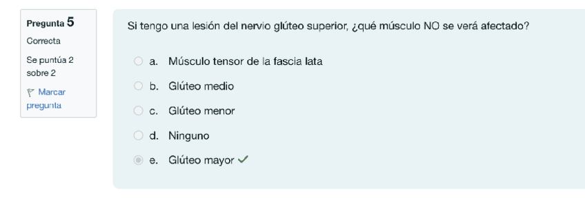 Miniatura del documento CUESTIONARIO-LOCOMOTOR-MIEMBRO-INFERIOR.pdf