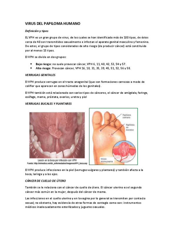 Miniatura del documento TEMA 4.Virus del papiloma humano.pdf