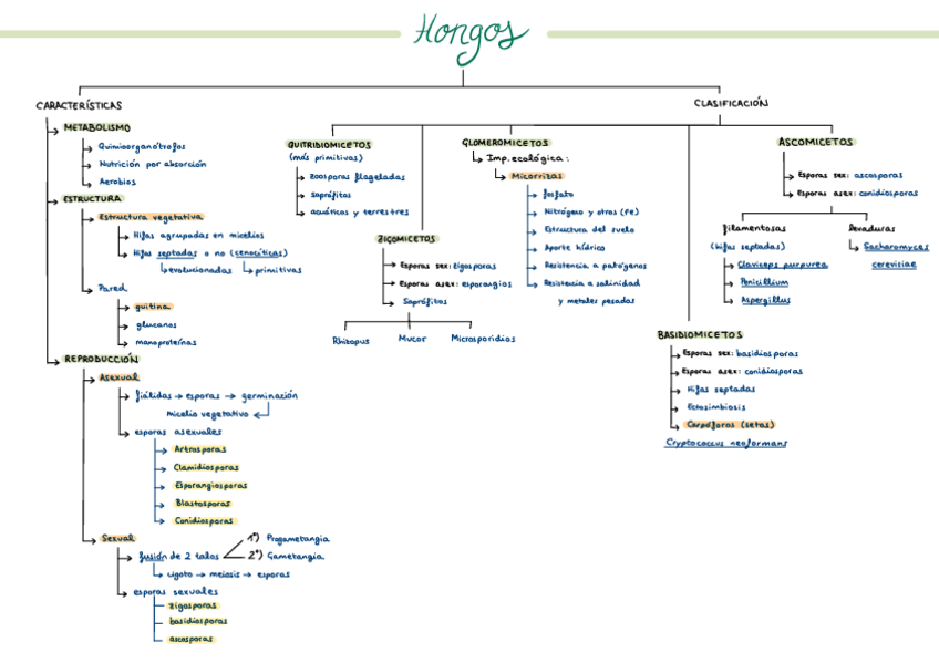 Miniatura del documento Esquema-tema-10.pdf