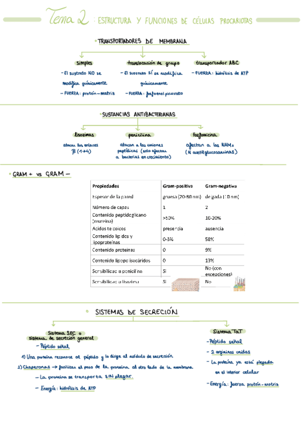 Miniatura del documento Resumen-tema-2.pdf