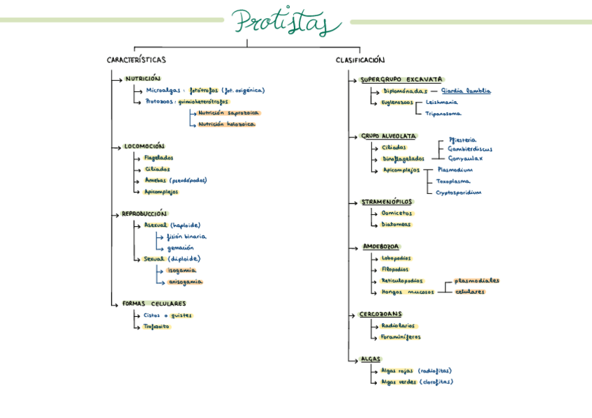 Miniatura del documento Esquema-tema-11.pdf