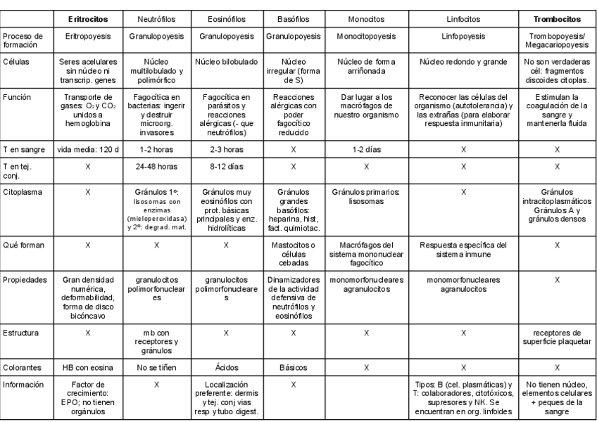Miniatura del documento TEJIDO-HEMATOPOYETICO-tabla.pdf