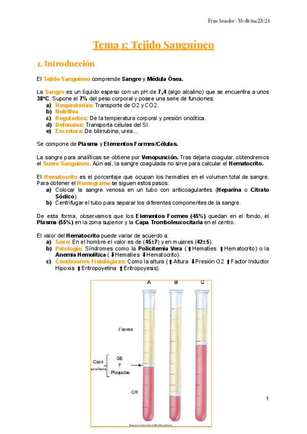 Miniatura del documento Apuntes-Histologia-I-23-24.pdf