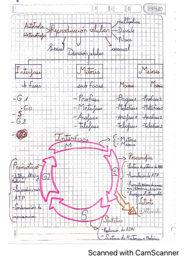 Miniatura del documento Reproduccion-Celular-Explicada.-Todo-en.pdf