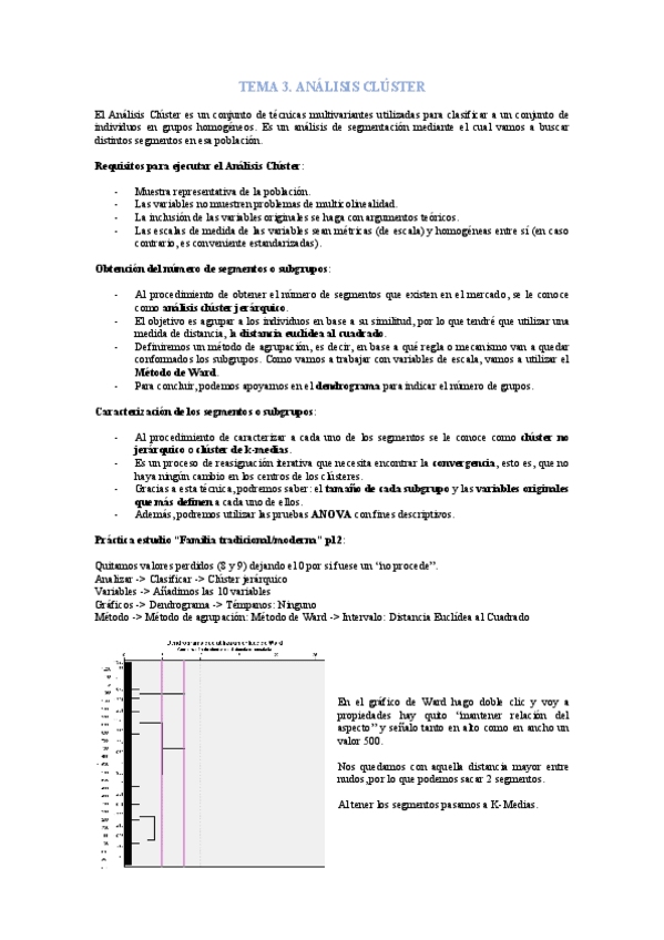 Miniatura del documento Practica-Tema-3.pdf