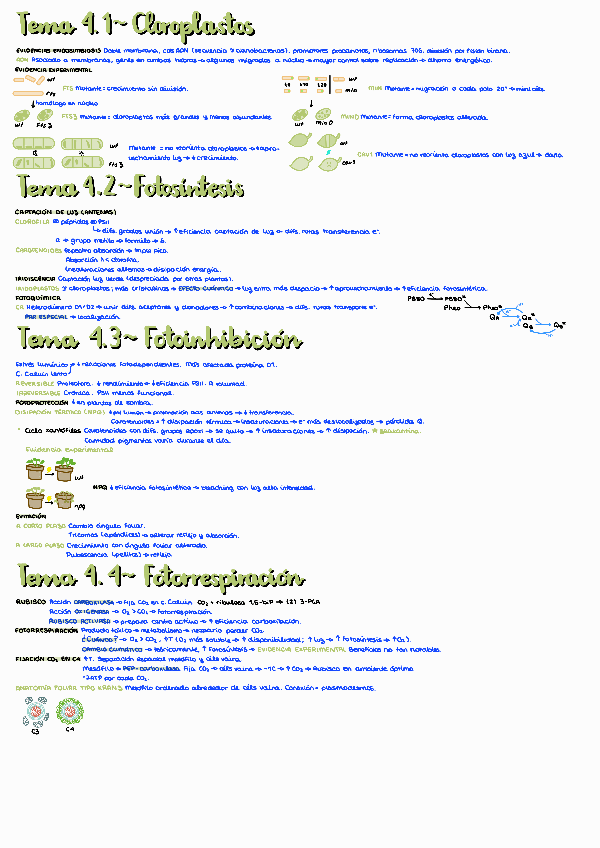 Miniatura del documento PAR1T4.pdf