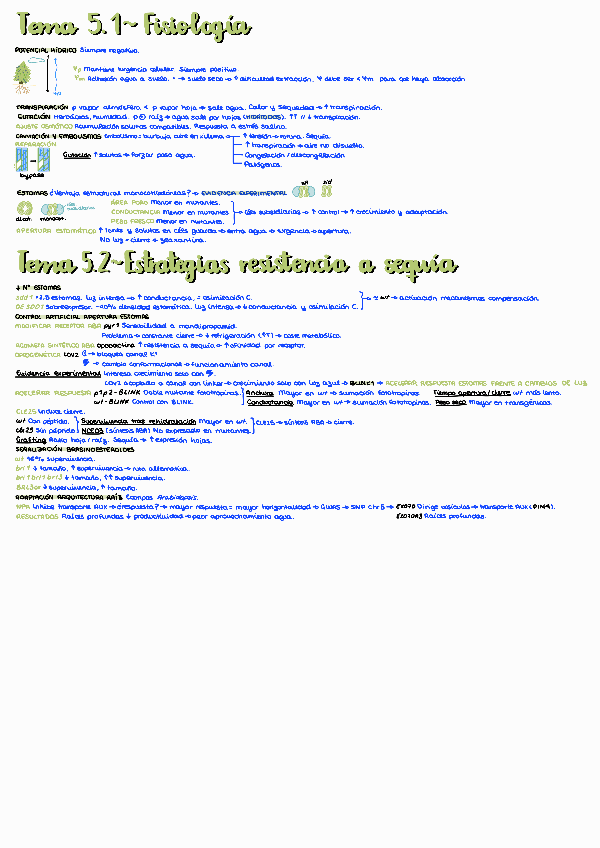 Miniatura del documento PAR1T5.pdf