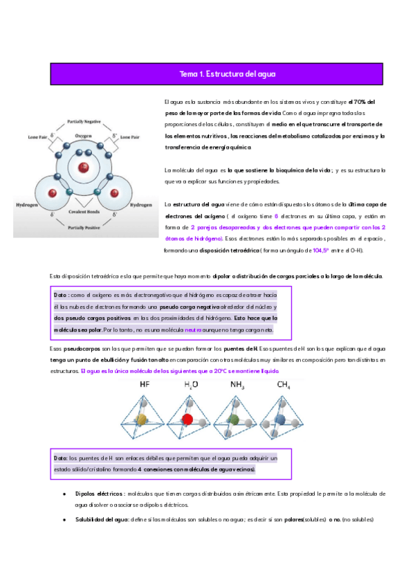 Miniatura del documento Tema-1.-Introduccion-a-la-bioquimica.-La-estructura-del-agua..pdf