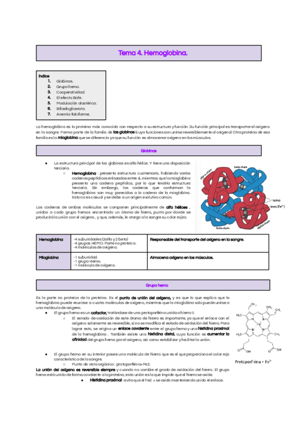 Miniatura del documento Tema-4-Hemoglobina..pdf