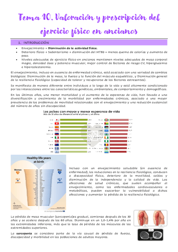 Miniatura del documento Tema-10.-Valoracion-y-prescripcion-del-ejercicio-fisico-en-ancianos.pdf