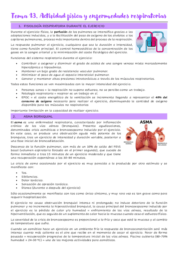 Miniatura del documento Tema-13.-Actividad-fisica-y-enfermedades-respiratorias.pdf