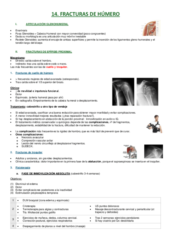 Miniatura del documento 14.-Fx-de-humero.pdf