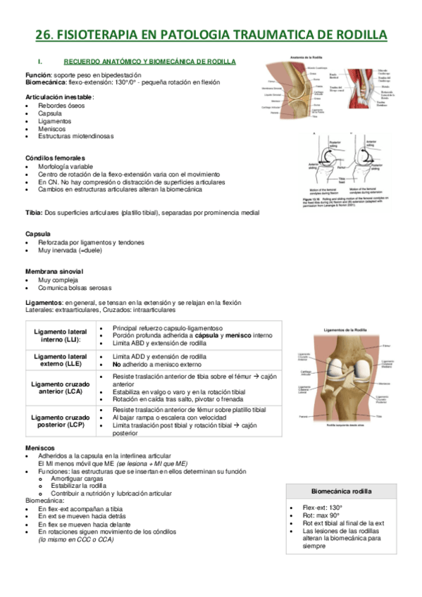 Miniatura del documento 26.-F-en-patologia-traumatica-de-rodilla.pdf
