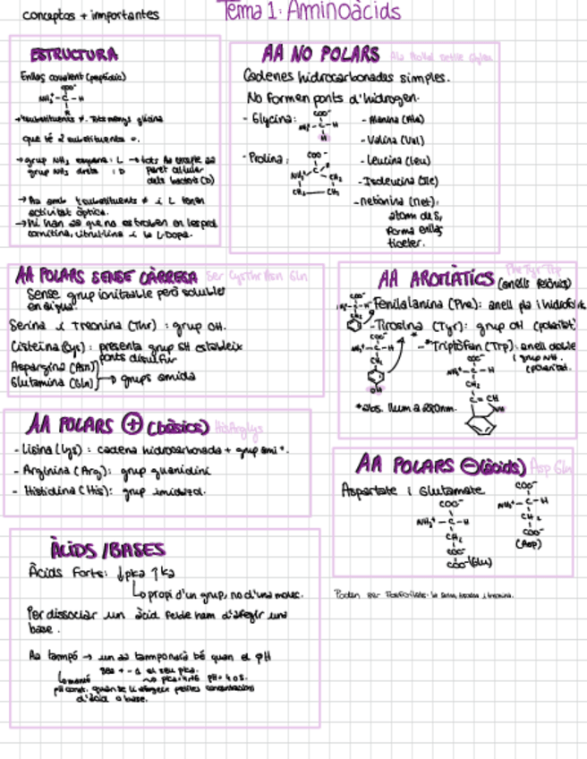 Miniatura del documento Tema-1-Resum.pdf