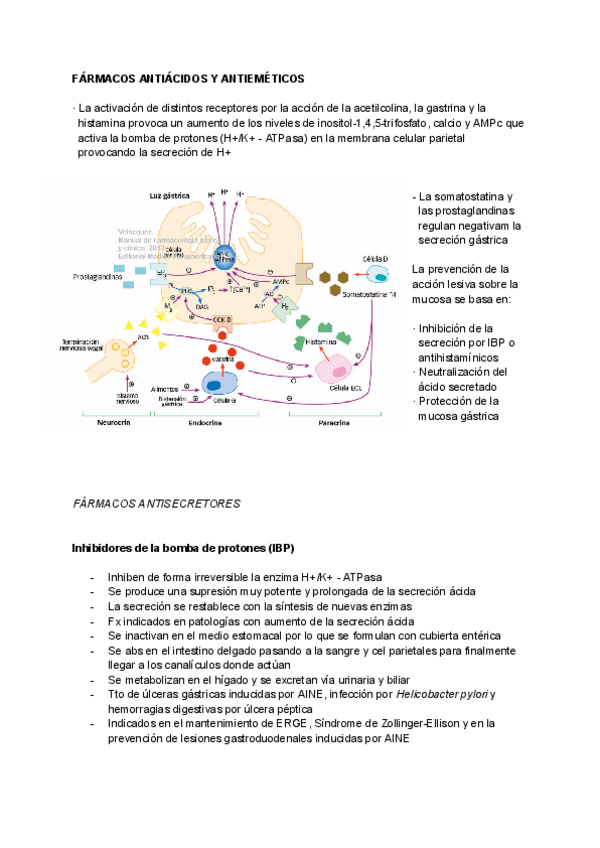 Miniatura del documento Antiácidos-y-antieméticos.pdf