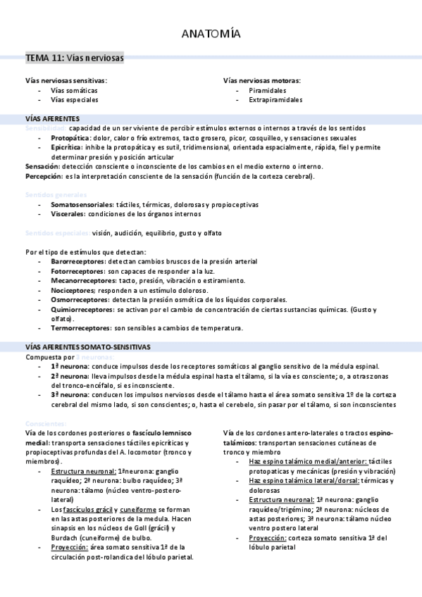 Miniatura del documento tema-11-vias-nerviosas.pdf