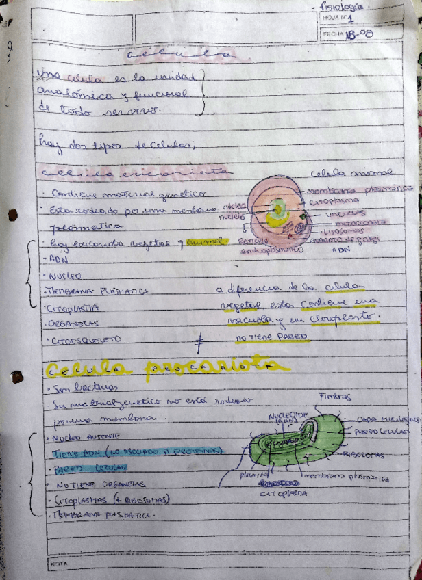 Miniatura del documento celula-fisiologia.pdf