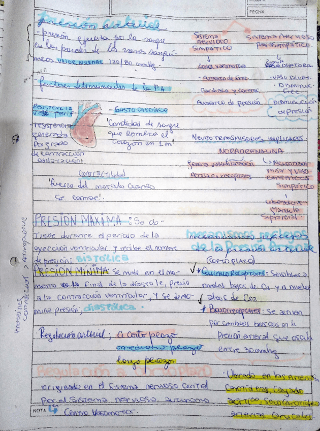 Miniatura del documento presion-arterial.pdf
