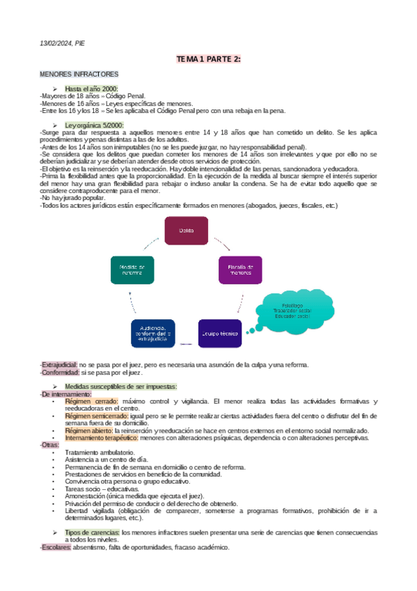 Miniatura del documento TEMA-1.2.-PIE.pdf
