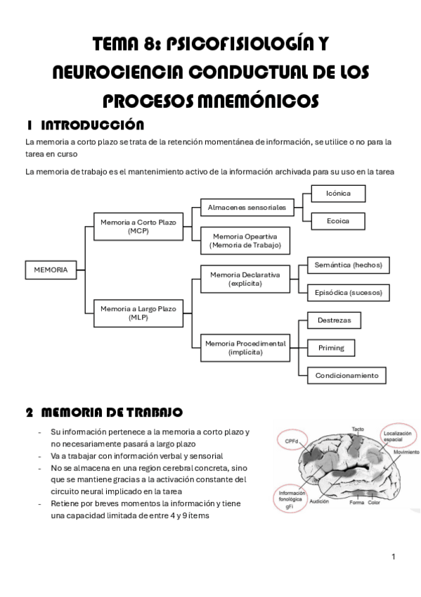 Miniatura del documento TEMA-8.-PSICOFISIOLOGIA-Y-NEUROCIENCIA-CONDUCTUAL-DE-LOS-PROCESOS-MNEMONICOS.pdf