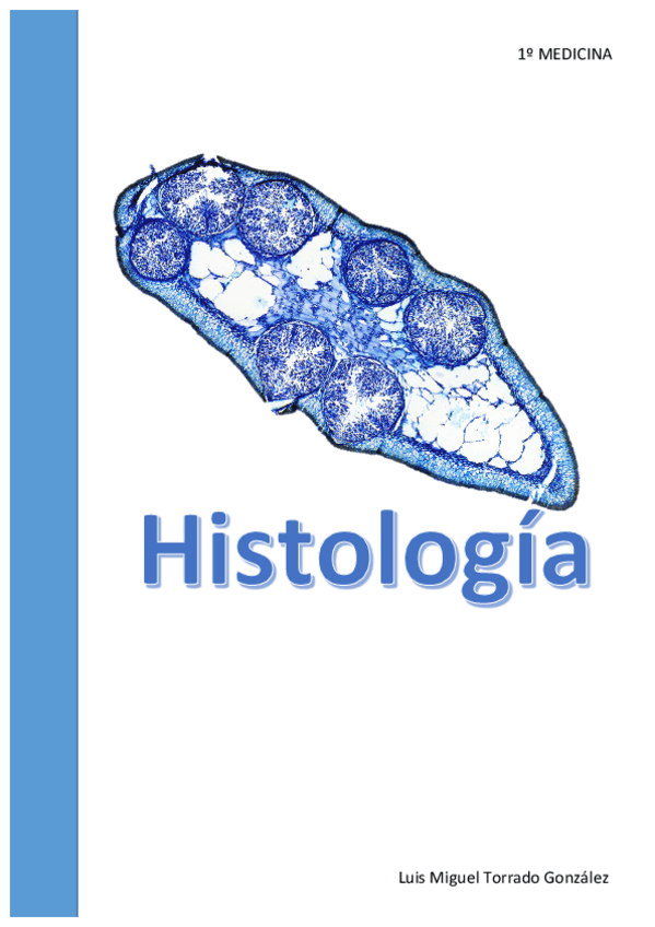 Miniatura del documento TEMA 1 - Tejido Epitelial.pdf