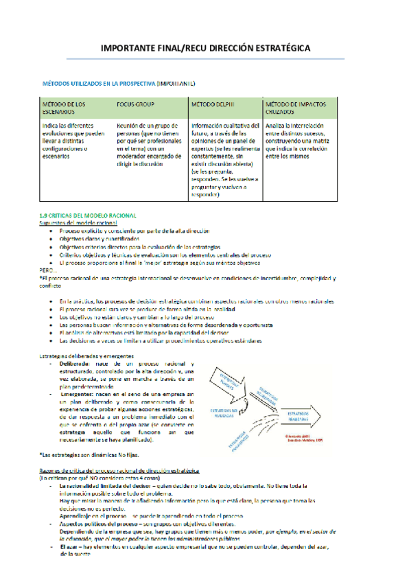 Miniatura del documento importante-final-dir-estr.pdf