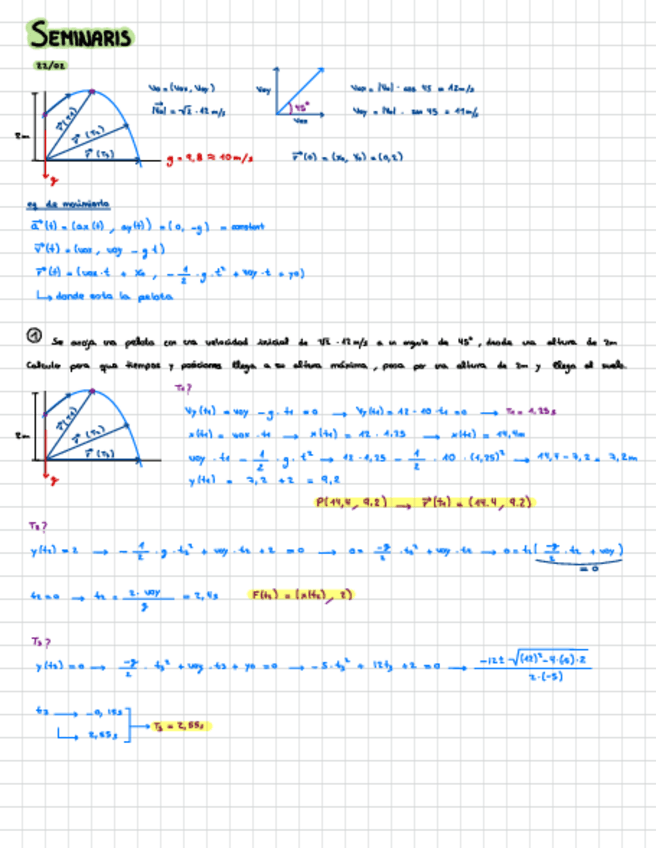 Miniatura del documento Fisica-Seminarios-G.201.pdf