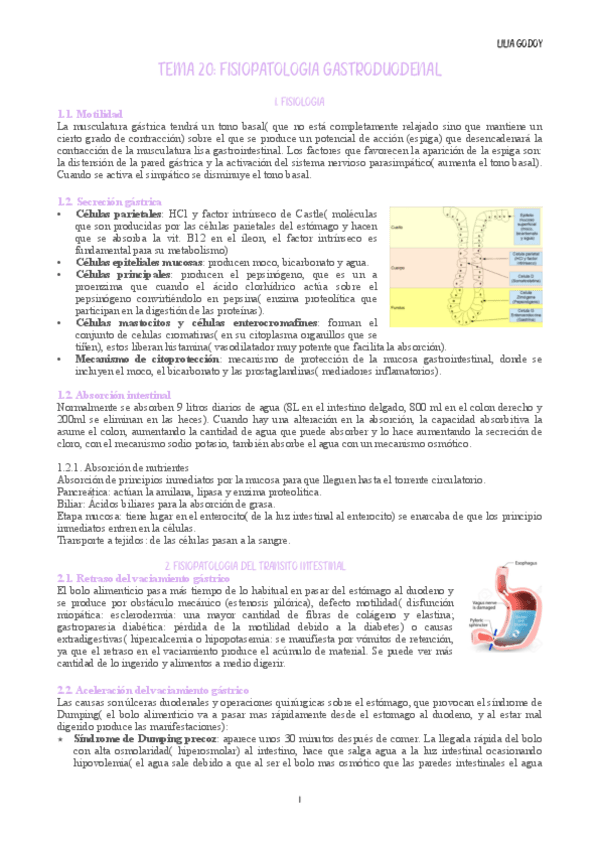 Miniatura del documento Tema-20.pdf