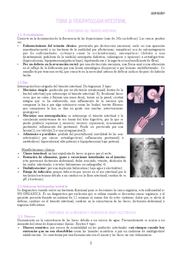 Miniatura del documento Tema-21.pdf