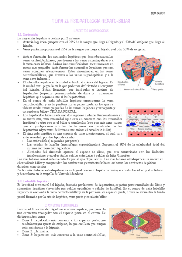 Miniatura del documento Tema-22.pdf