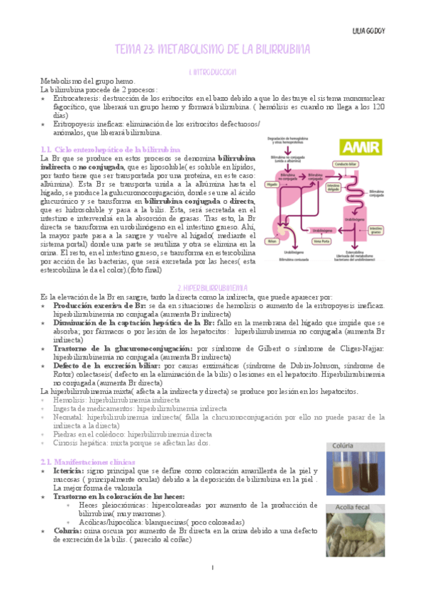 Miniatura del documento Tema-23.pdf