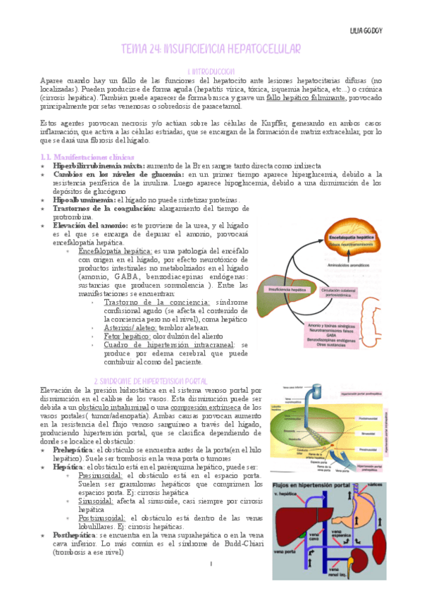 Miniatura del documento Tema-24.pdf