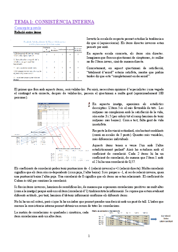 Miniatura del documento APUNTS.pdf