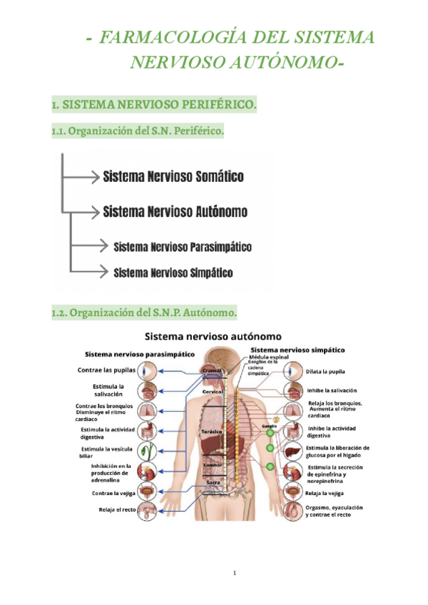 Miniatura del documento 4.-Farmacologia-del-Sistema-Nervioso-Autonomo-1.pdf