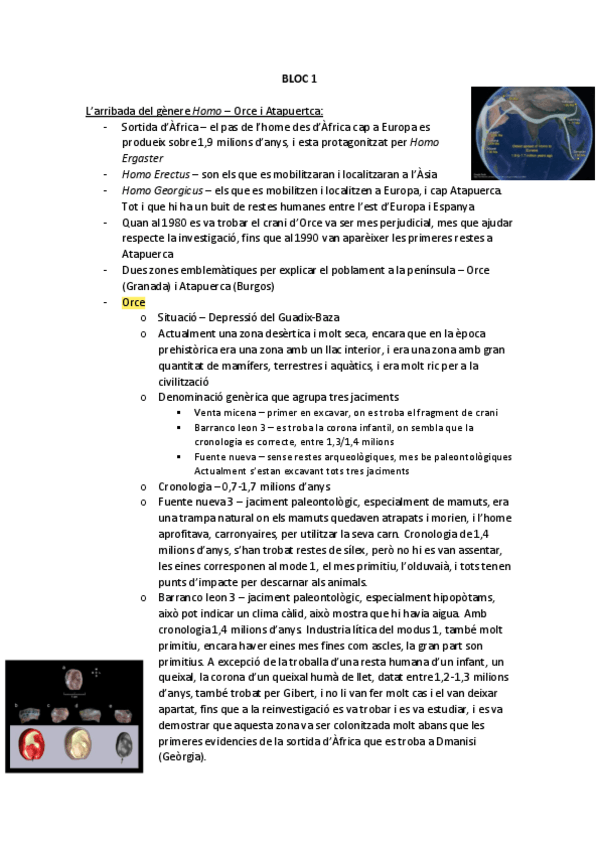 Miniatura del documento BLOC-1.pdf
