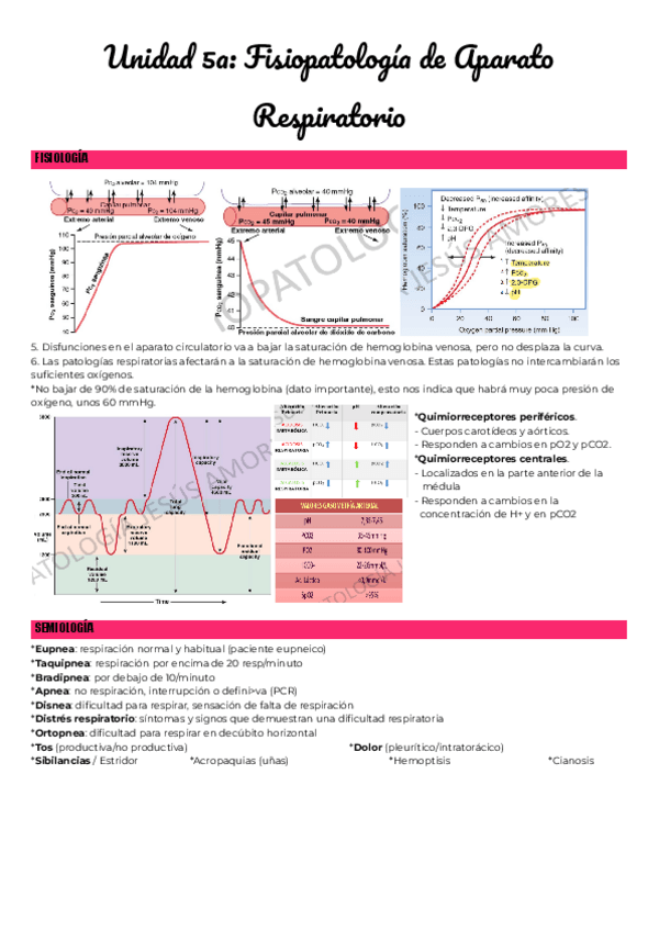 Miniatura del documento Unidad-5a-Fisiopatologia-de-Aparato-Respiratorio.pdf