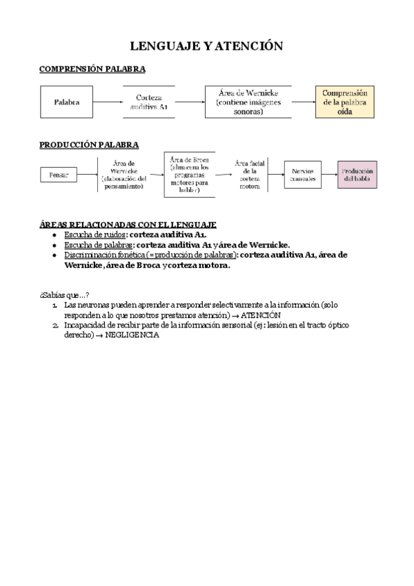 Miniatura del documento Tema-13.-Lenguaje-y-atencion.pdf