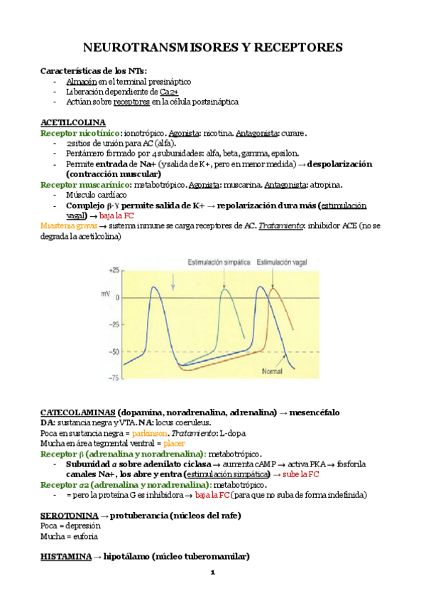 Miniatura del documento Temas-8-y-9.-Neurotransmisores-y-receptores.pdf