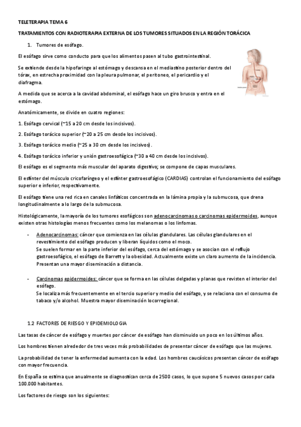 Miniatura del documento TELETERAPIA-TEMA-6.pdf