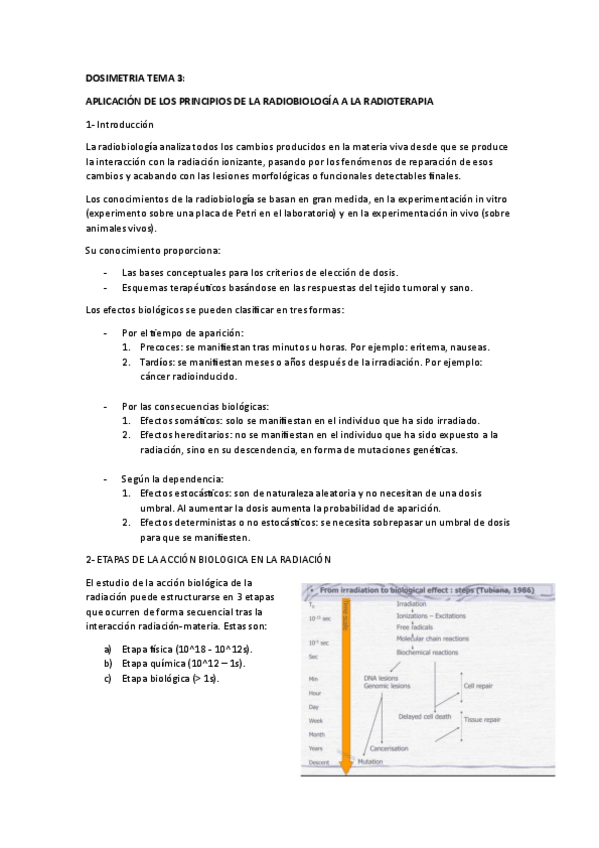 Miniatura del documento DOSIMETRIA-TEMA-3.pdf