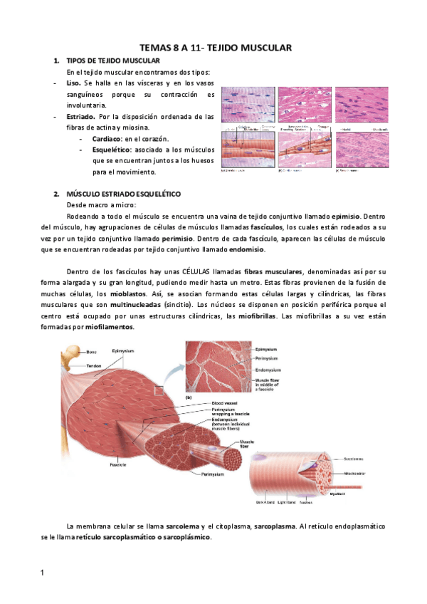 Miniatura del documento BIOCEL-II-TEMAS-8-13.pdf