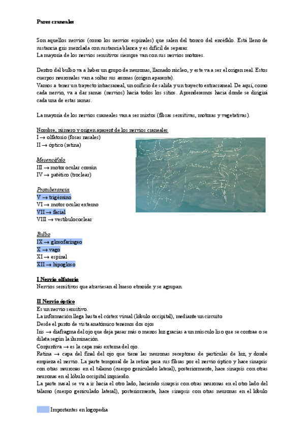 Miniatura del documento Pares-craneales.pdf
