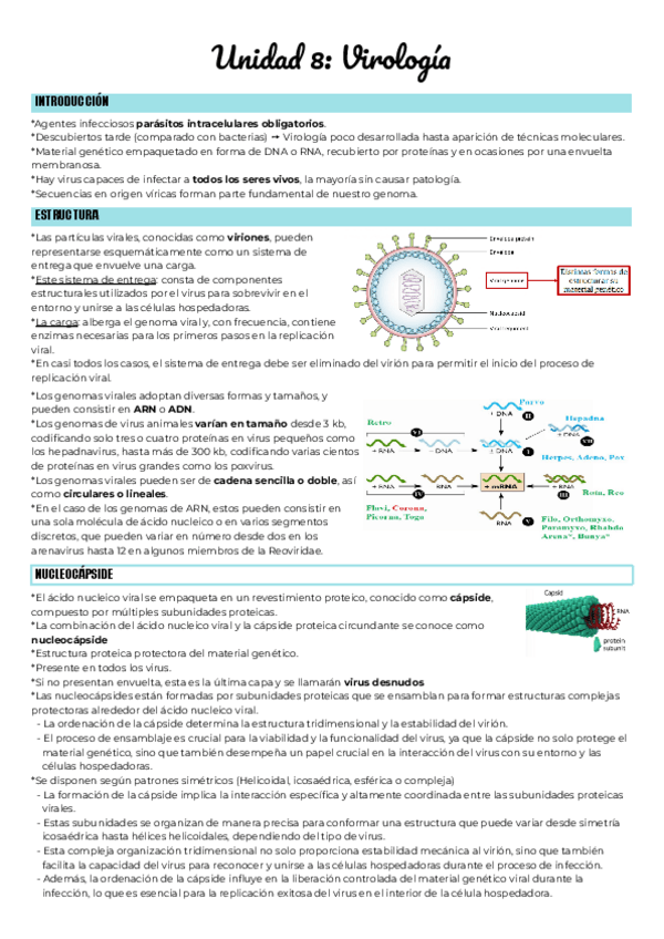 Miniatura del documento Unidad-8-Virologia.pdf